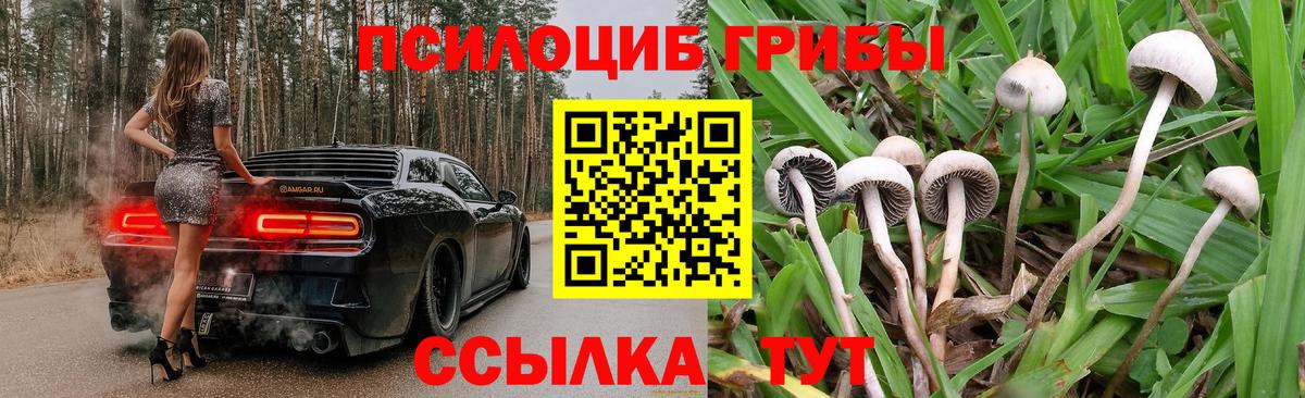 Галлюциногенные грибы мухоморы Югорск