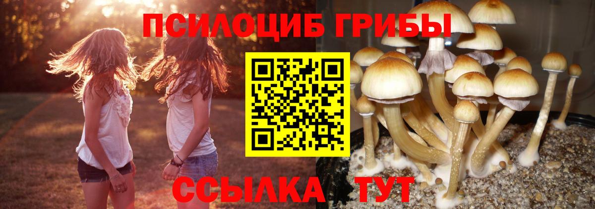 Югорск  Галлюциногенные грибы MAGIC MUSHROOMS  Галлюциногенные грибы прущие грибы  Вход с VPN 